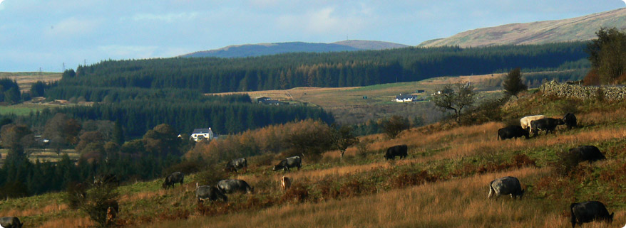 Cleugbrae countryside